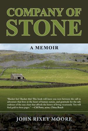 Cover of the book Company of Stone: A Memoir by Chris Cucchiara