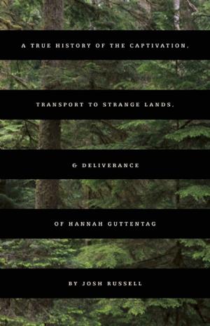 Cover of the book A True History of the Captivation, Transport to Strange Lands, & Deliverance of Hannah Guttentag by Joseph McElroy, Jonathan Lethem