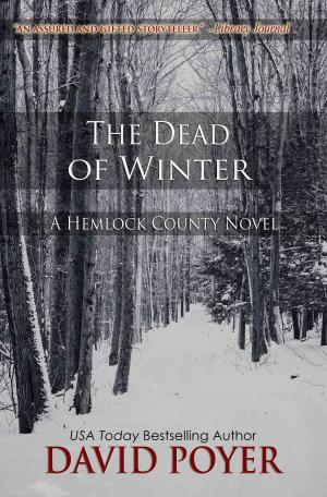 Book cover of THE DEAD OF WINTER