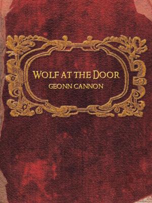 Book cover of Wolf at the Door