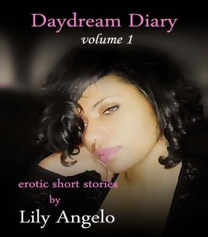 Cover of the book Daydream Diary by Merri Lu Park