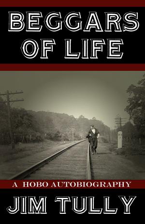Cover of the book Beggars of Life by Pamela M. Richter