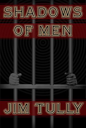 Book cover of Shadows of Men