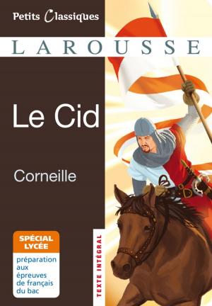 Book cover of Le Cid - spécial lycée