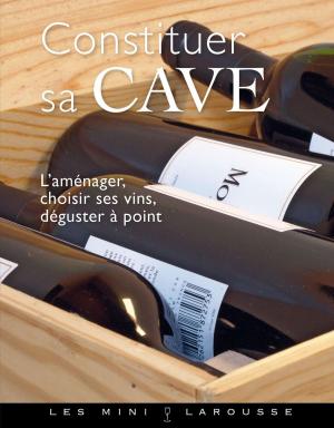 Cover of the book Constituer sa cave by Xavier Mathias, François Couplan