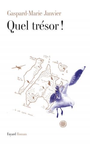 Cover of the book Quel trésor ! by DS Holmes