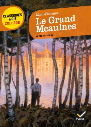 Book cover of Le Grand Meaulnes