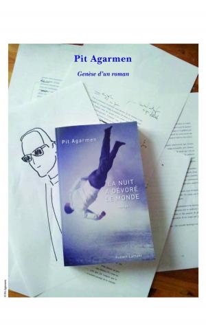 Cover of the book Genèse d'un roman by Patrick STEFANINI, Carole BARJON