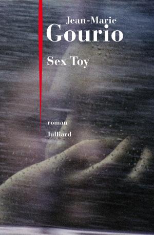 Book cover of Sex Toy