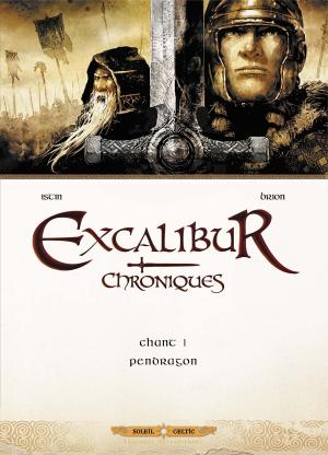 Cover of the book Excalibur Chroniques T01 by Yves Swolfs