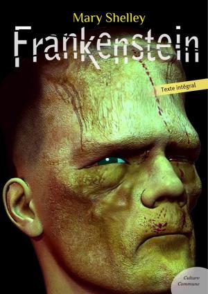 Cover of the book Frankenstein by Anonyme