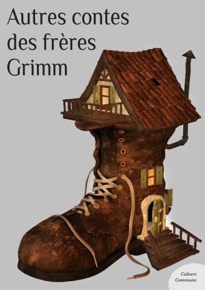 Cover of the book Autres contes des frères Grimm by Platon