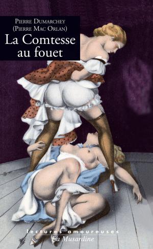 Cover of the book La Comtesse au fouet by Francois Riffaud