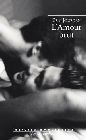 Cover of the book L'amour brut by Gilles de Saint-avit