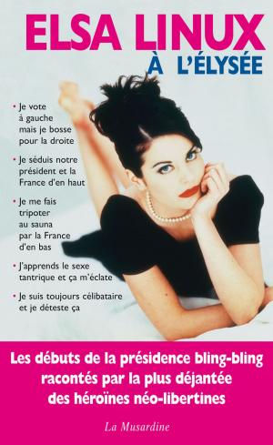 Cover of the book Elsa Linux à l'Elysée by Bruno H loison