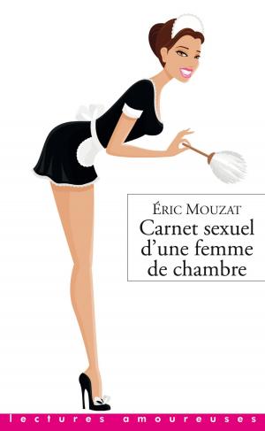 Book cover of Carnet sexuel d'une femme de chambre