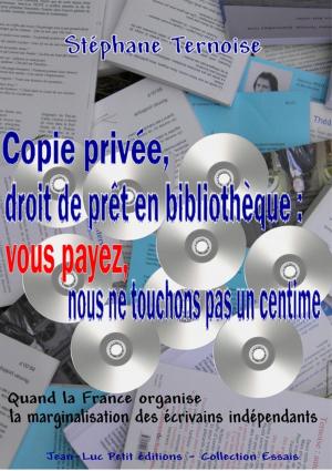 Cover of the book Copie privée, droit de prêt en bibliothèque : vous payez, nous ne touchons pas un centime by Stéphane Ternoise