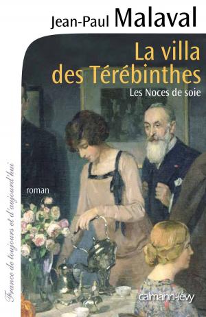 Cover of the book La Villa des Térébinthes - Les noces de soie T2 by Eric Le Nabour
