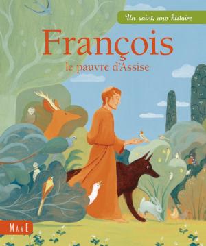 Cover of the book François, le pauvre d'Assise by Michel Dubost, Stanislas Lalanne
