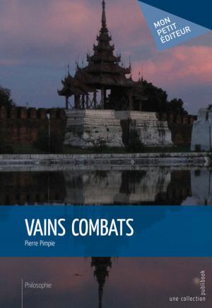 Cover of the book Vains combats by Julie Robidoux