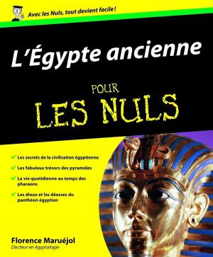 Cover of the book L'Egypte Ancienne Pour les Nuls by Rob CIAMPA, Theresa MOORE