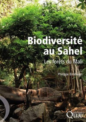 Cover of the book Biodiversité au Sahel by Marc Jaeger, Eric Malézieux, Guy Trébuil