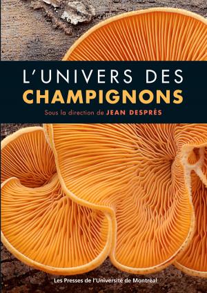 Cover of the book L'univers des champignons by Isabelle Arseneau, Francis Gingras