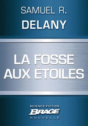 Cover of the book La Fosse aux étoiles by Pierre Pelot