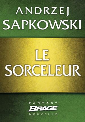 Book cover of Le Sorceleur