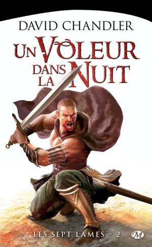 Cover of the book Un voleur dans la nuit by Mélanie Fazi