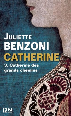 Cover of the book Catherine tome 3 - Catherine des grands chemins by Serge BRUSSOLO