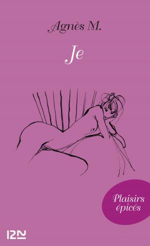 Cover of the book Je by Brittany CAVALLARO