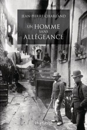 Cover of the book Un homme sans allégeance by Michel Langlois