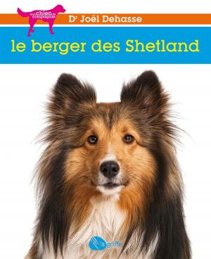 Book cover of Le berger des Shetland