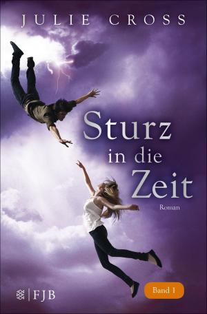 Cover of the book Sturz in die Zeit by Christoph Ransmayr