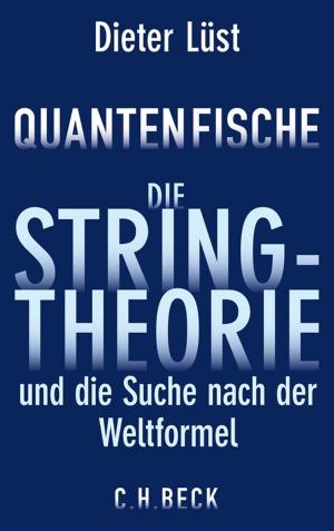 Cover of the book Quantenfische by Jan Bürger, Ulrich Raulff, Matthias Kross, Liliane Weissberg, Morten Paul, Jost Philipp Klenner, Roger Chartier