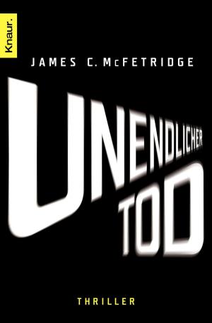 Cover of the book Unendlicher Tod by Bernhard Moestl