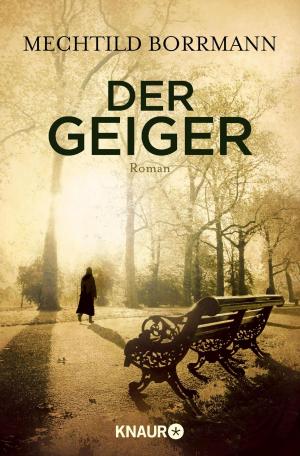 Cover of the book Der Geiger by Alexander Hagelüken