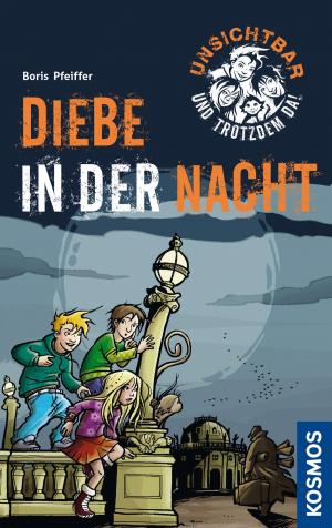 Book cover of Unsichtbar und trotzdem da!, 1, Diebe in der Nacht