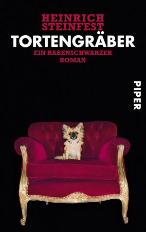 Book cover of Tortengräber