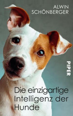 Cover of the book Die einzigartige Intelligenz der Hunde by Alessandro Alciato, Carlo Ancelotti