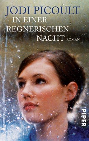 Cover of the book In einer regnerischen Nacht by Martina Kempff