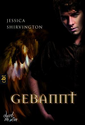 Cover of the book Gebannt by Lisa J. Smith
