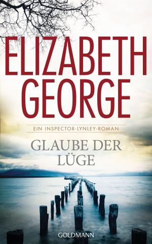 Cover of the book Glaube der Lüge by Kurt Tepperwein