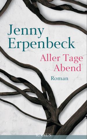 Cover of the book Aller Tage Abend by Noam Shpancer