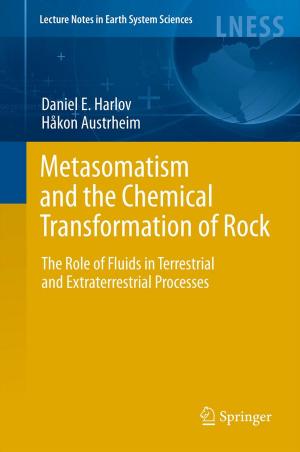bigCover of the book Metasomatism and the Chemical Transformation of Rock by 