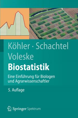 Cover of the book Biostatistik by H.L. Pahl