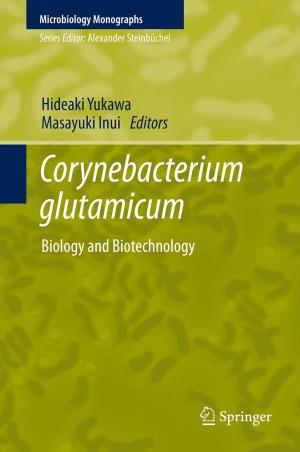 Cover of the book Corynebacterium glutamicum by B. von Salis, G. E. Fackelman, D. M. Nunamaker, O. Pohler