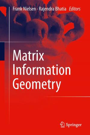 Cover of the book Matrix Information Geometry by Birte Steiniger, Peter Barth