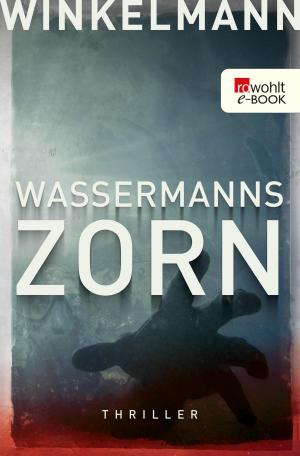 Cover of the book Wassermanns Zorn by Vincent Klink